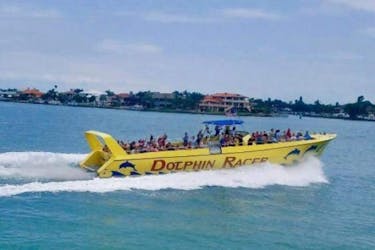 St Petersburg dolphin racer speedboat tour